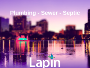 Why you should choose Lapin before the competition!