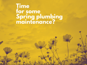 Time for some Spring plumbing maintenance?
