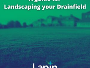 A Guide to Landscaping Your Drainfield